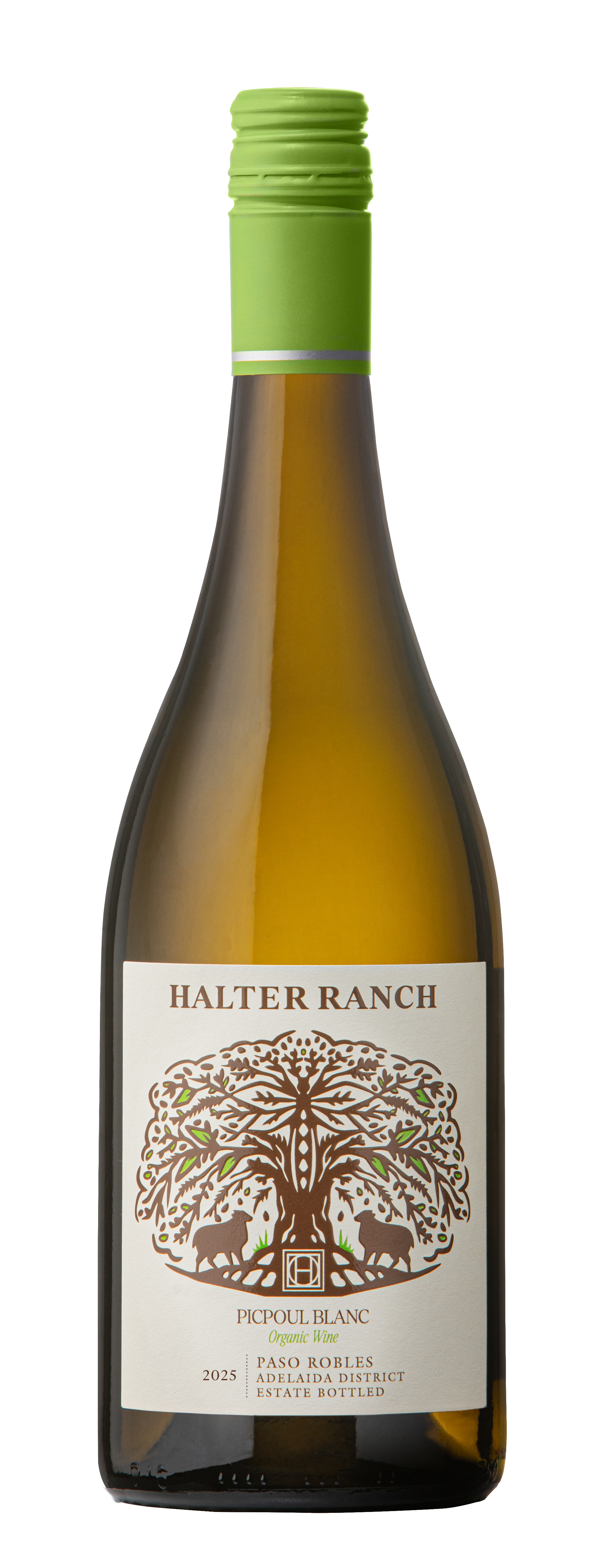 2025 Organic Picpoul Blanc